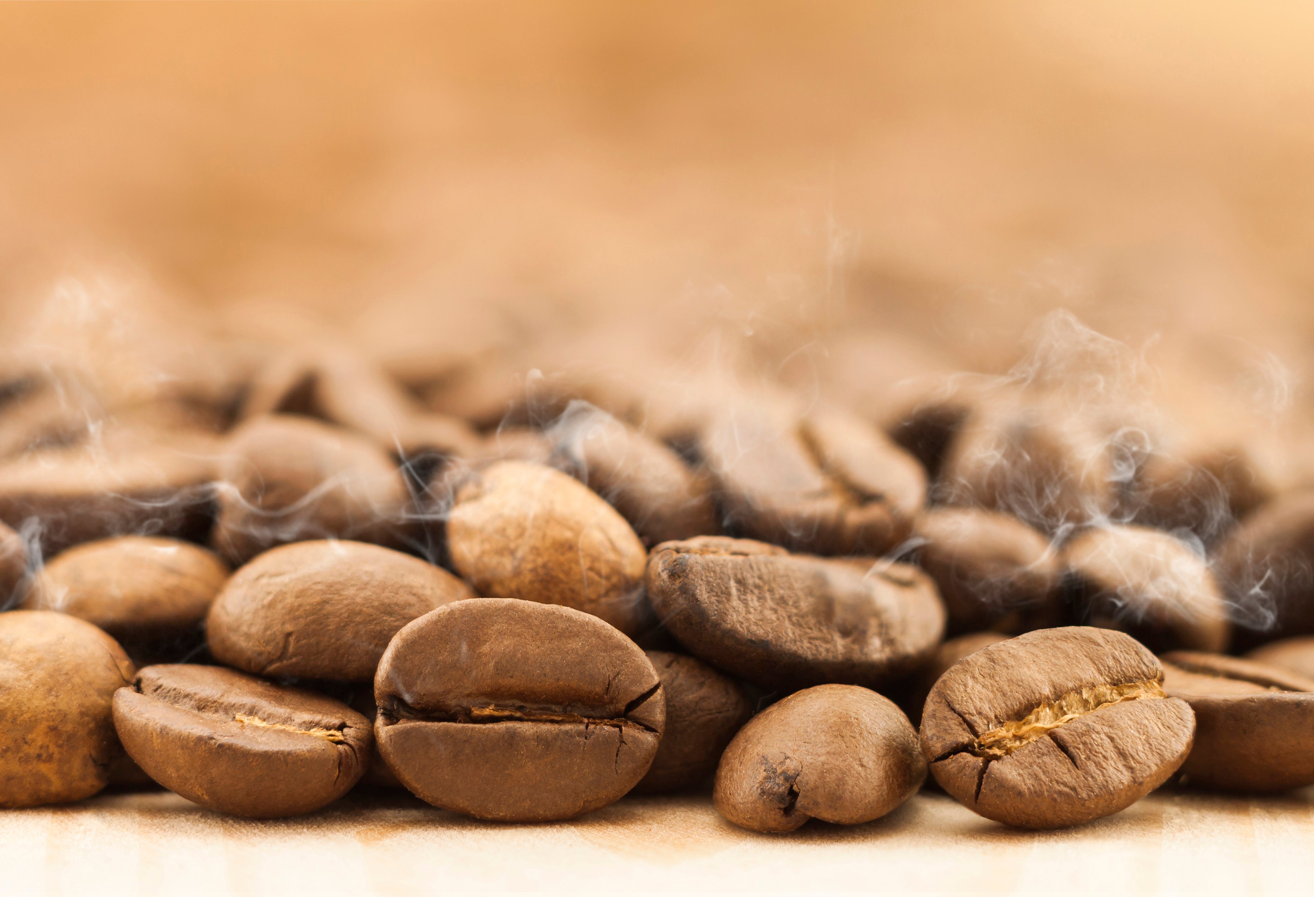 Quale caffè ha più caffeina? Tutto quello che devi sapere per scegliere il caffè più energizzante