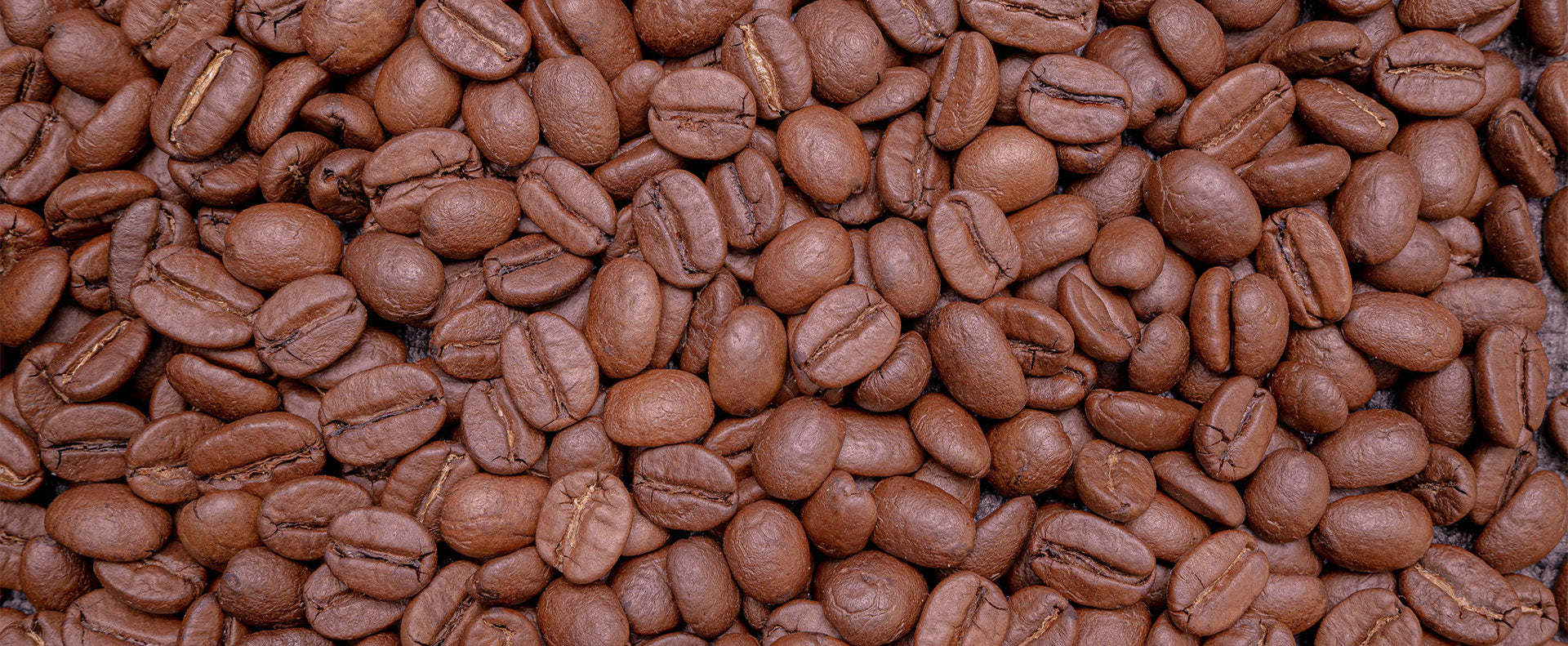 Mokito coffee Roaster 